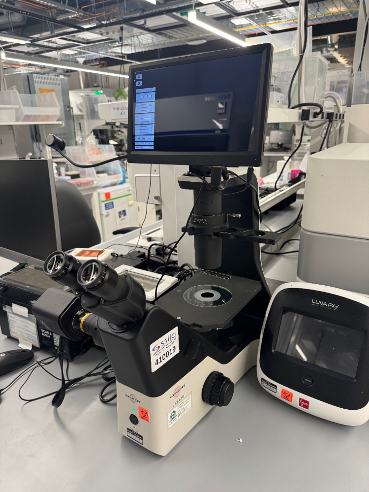 Image of Accu-Scope EXI-410 Series Inverted Microscope
